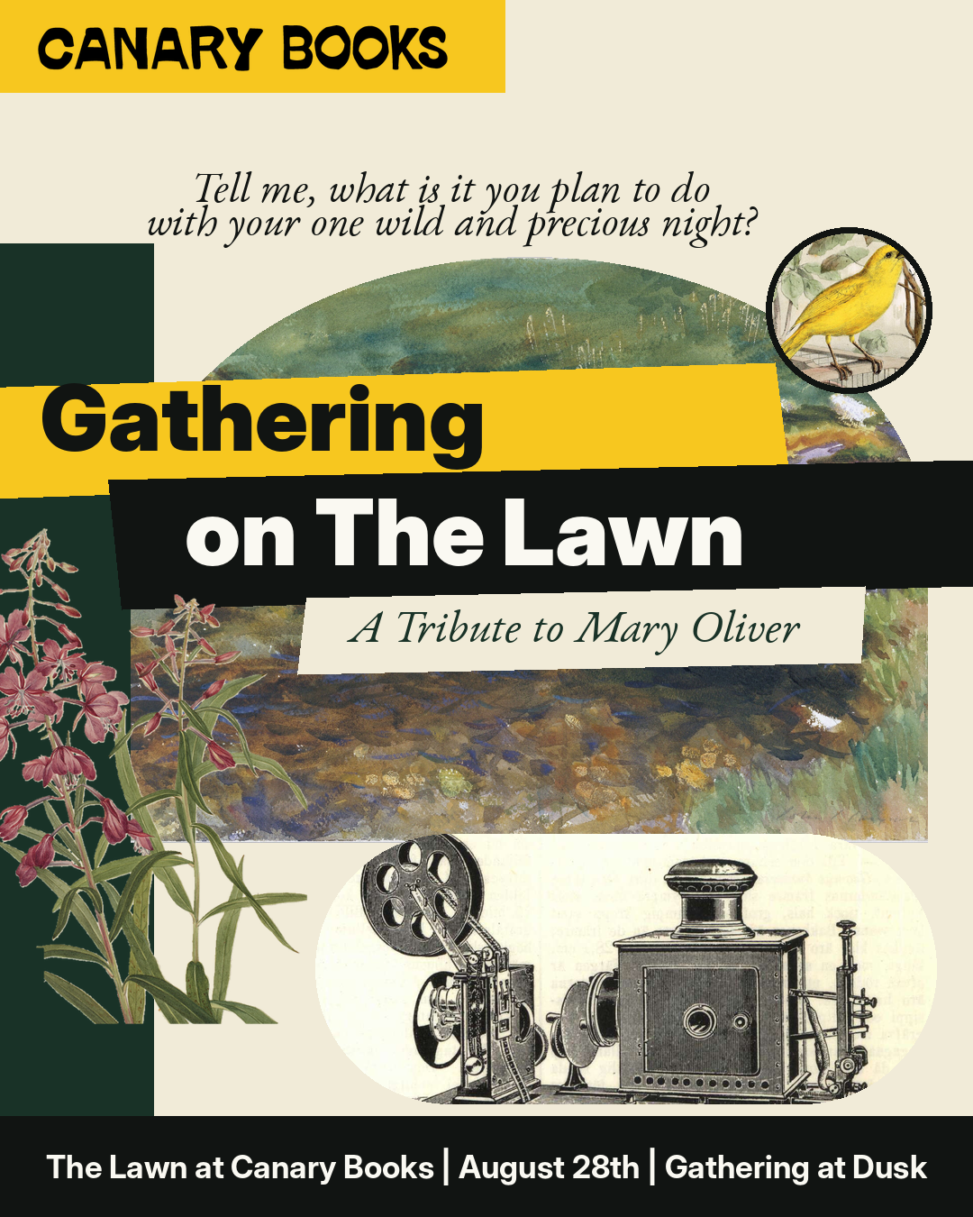 An Evening on The Lawn: A Tribute to Mary Oliver